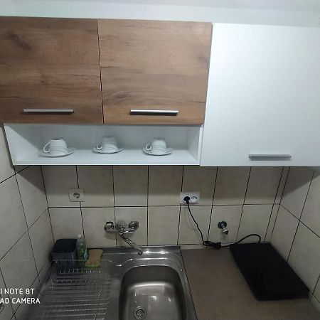 Apartman Studio Pavle I Petra Sremski Karlovci Exterior foto