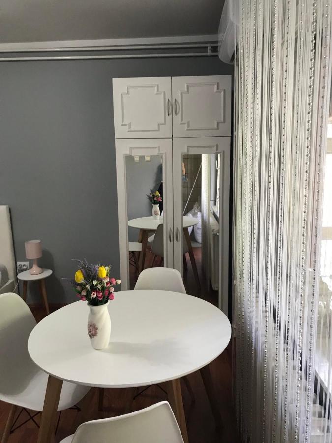 Apartman Studio Pavle I Petra Sremski Karlovci Exterior foto