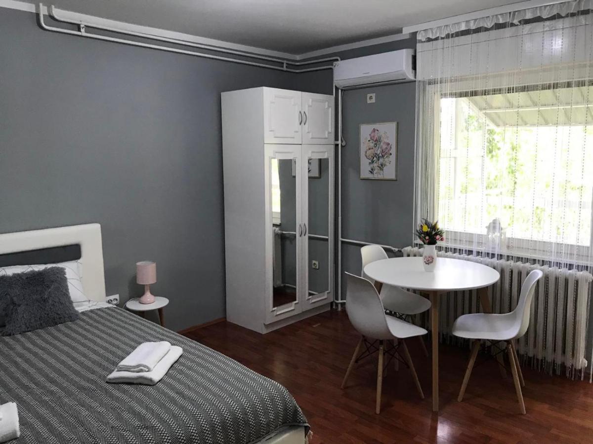 Apartman Studio Pavle I Petra Sremski Karlovci Exterior foto