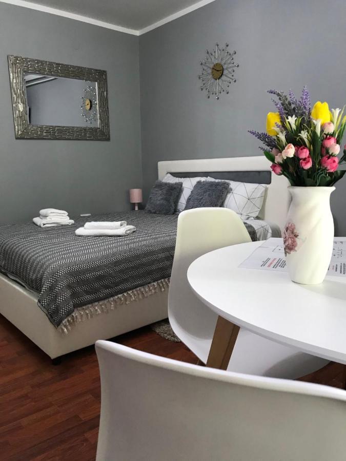 Apartman Studio Pavle I Petra Sremski Karlovci Exterior foto