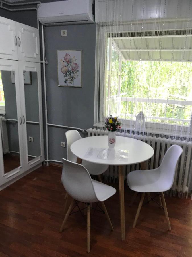 Apartman Studio Pavle I Petra Sremski Karlovci Exterior foto