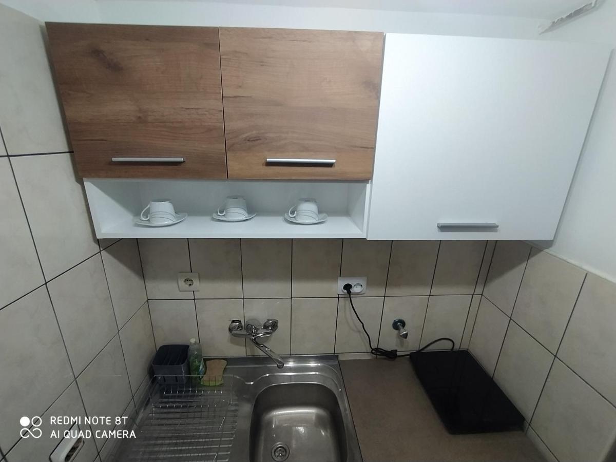 Apartman Studio Pavle I Petra Sremski Karlovci Exterior foto